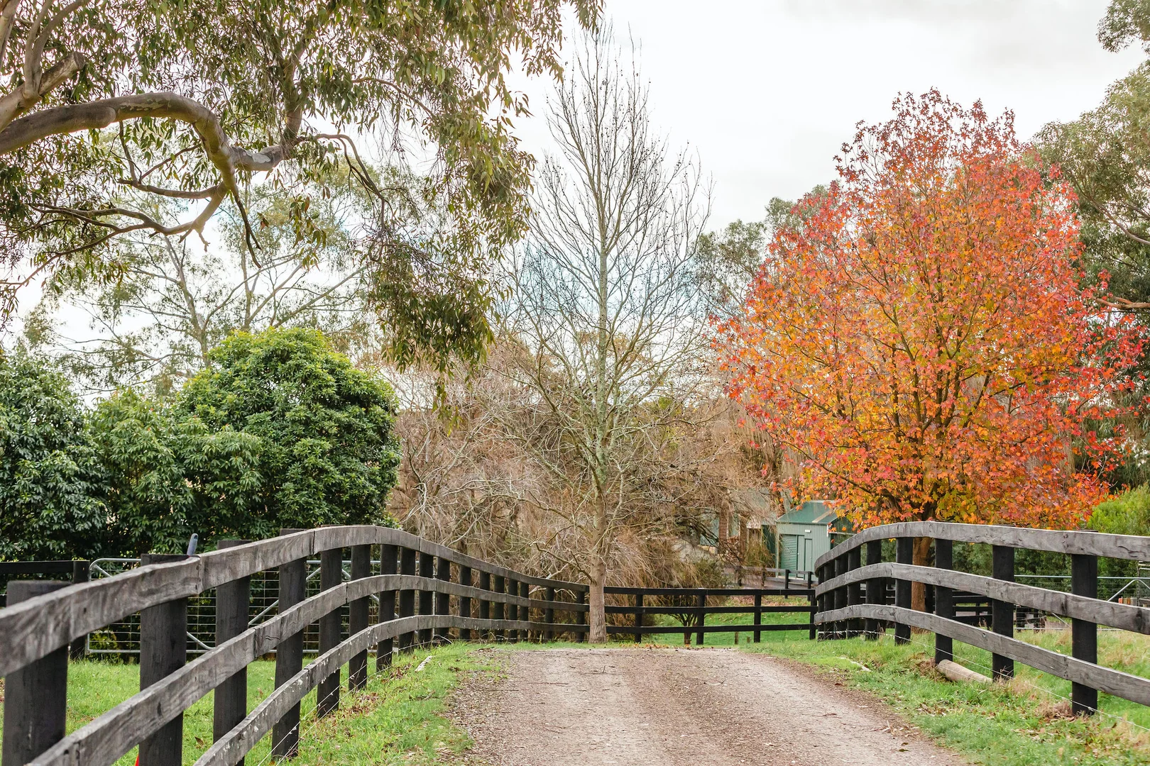 Additional image 25 of 349 Stumpy Gully Road, Balnarring VIC 3926