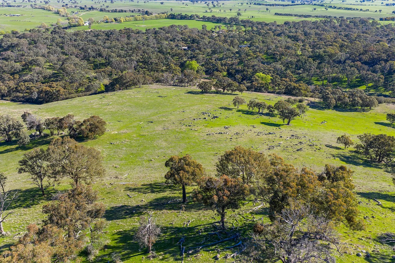 Additional image 22 of 1432 Lachlan Valley Way, Laverstock NSW 2582