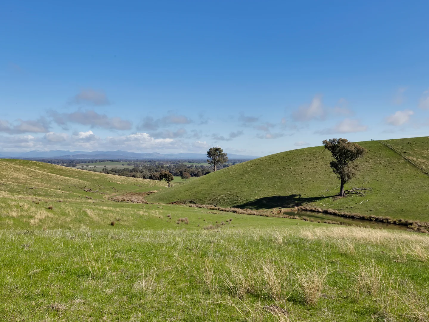 Additional image 27 of 147 Bostock Road, Lurg VIC 3673