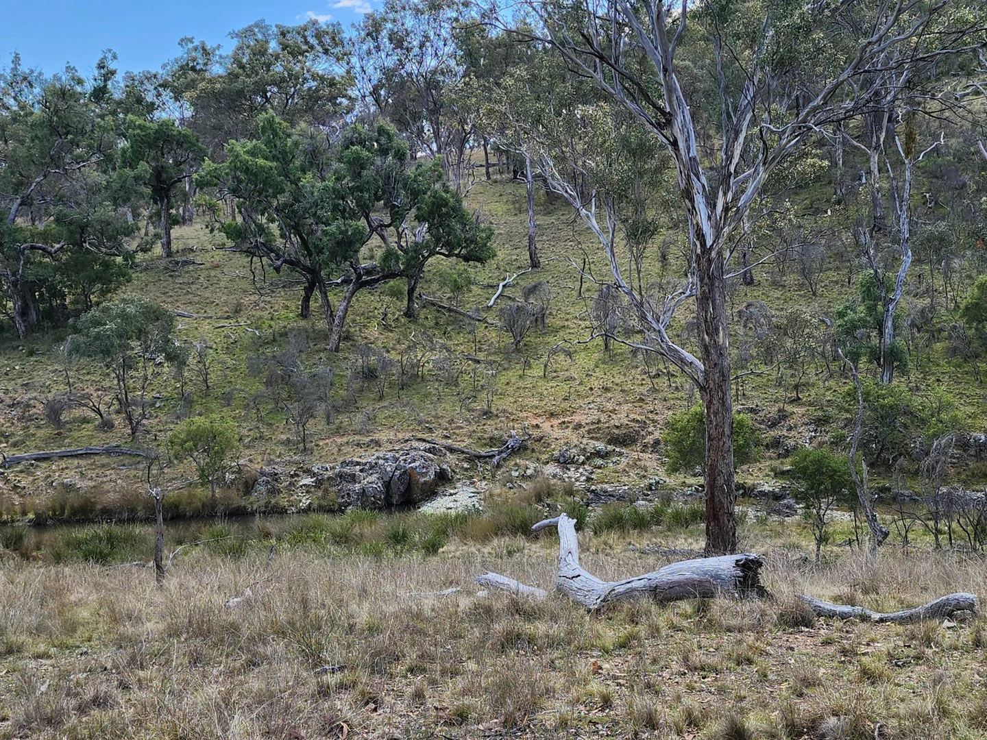 Additional image 7 of Lot 2 Stanthorpe Texas Road, Stanthorpe QLD 4380