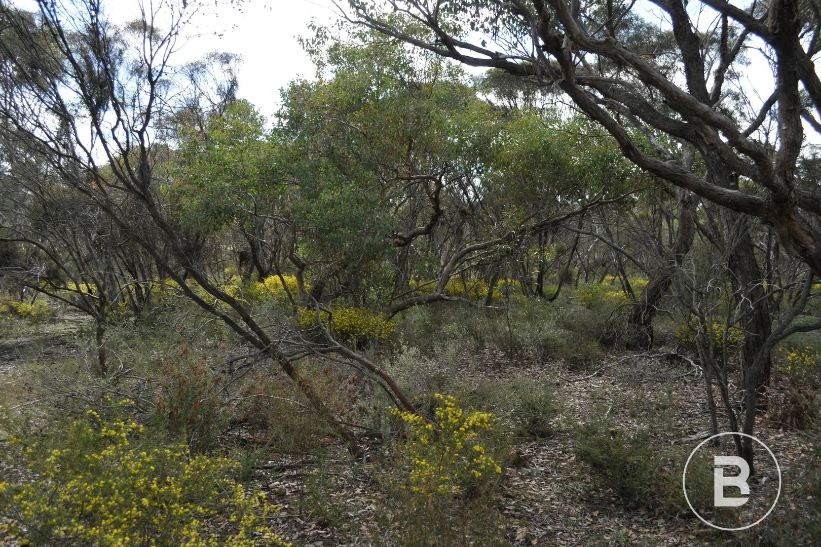 Additional image 7 of CA 127E McDonald Road, Llanelly VIC 3551