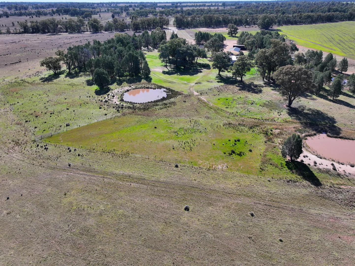 Additional image 31 of 'Belmont' 71R Maiala Road, Eumungerie NSW 2822