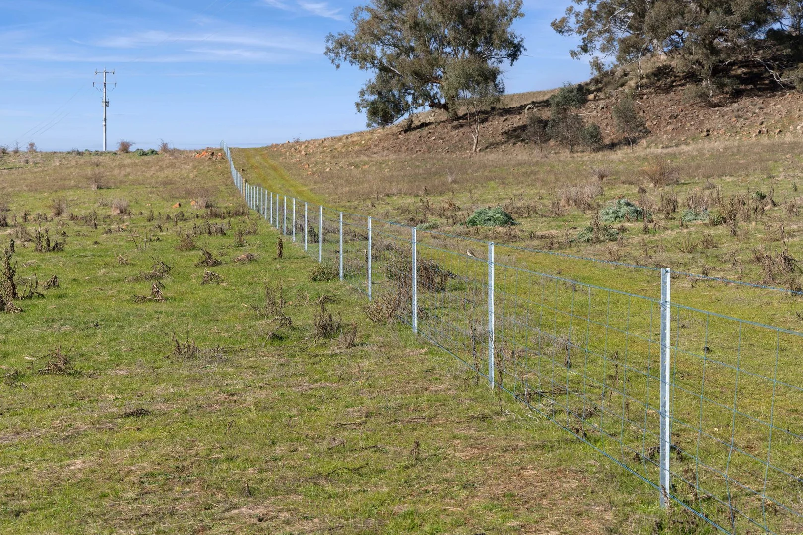 Additional image 5 of 202 Axedale-Kimbolton Road, Axedale VIC 3551