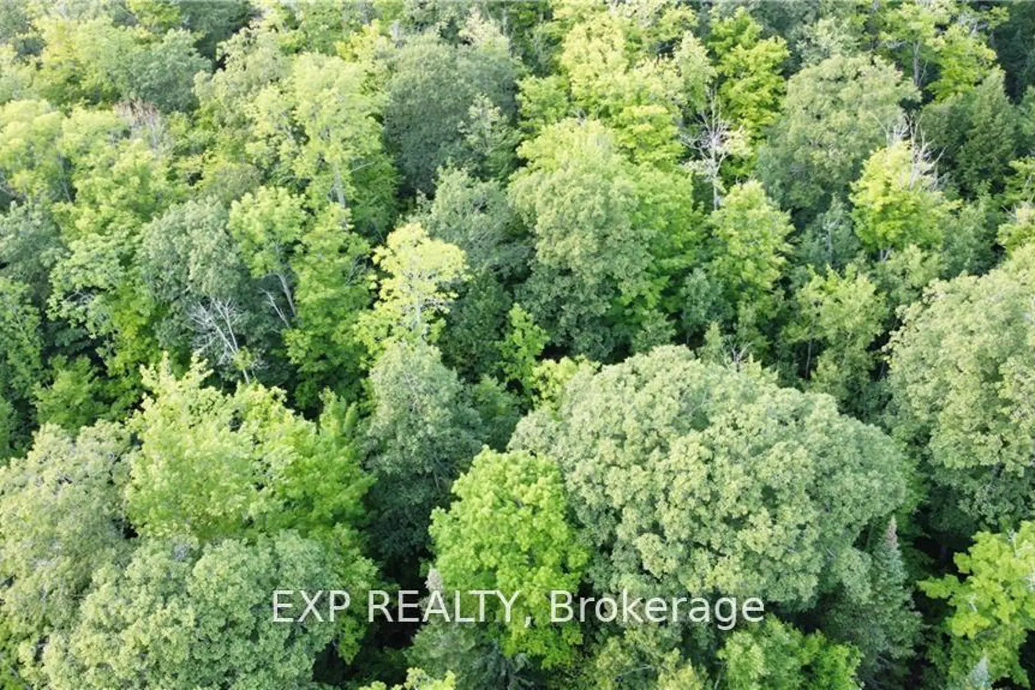 Additional image 2 of Lot A Chippawa Road