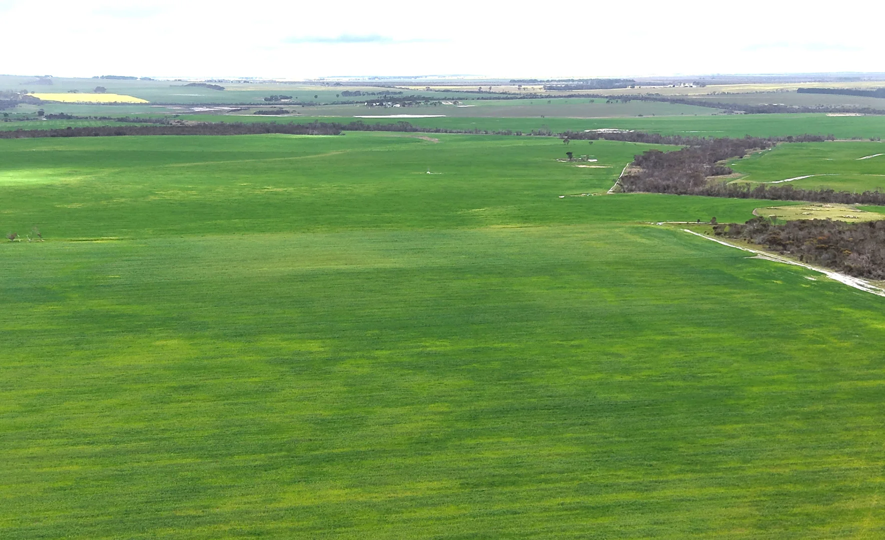 Additional image 23 of 31541 South Coast Highway, Jerramungup WA 6337