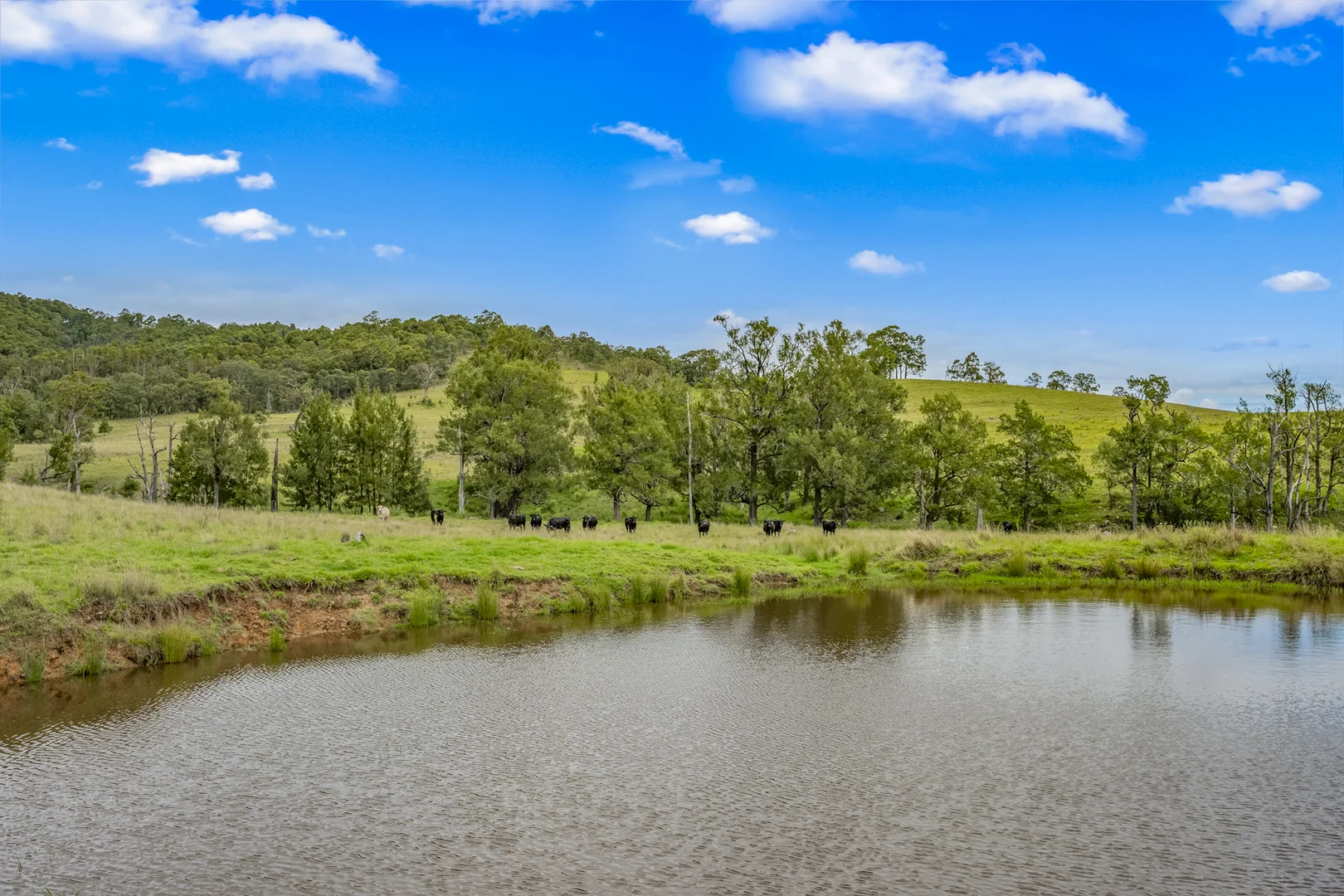 Additional image 7 of Carrowbrook Road Mount Olive, Singleton NSW 2330