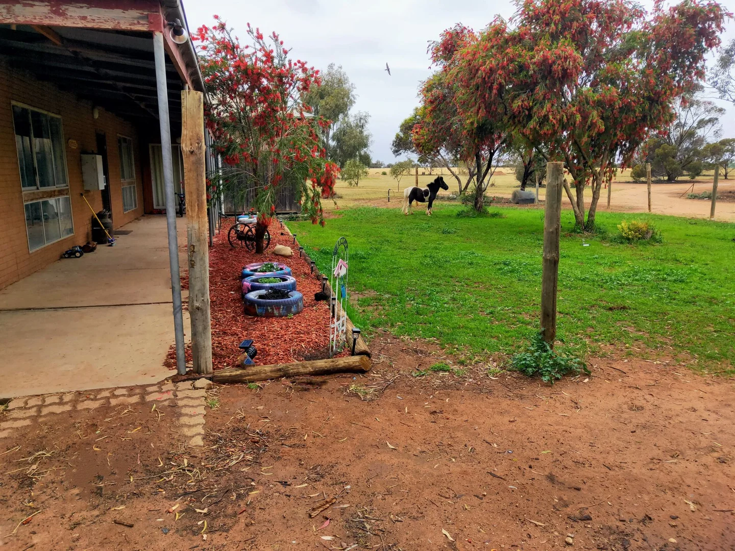 Additional image 15 of Chinkapook VIC 3546