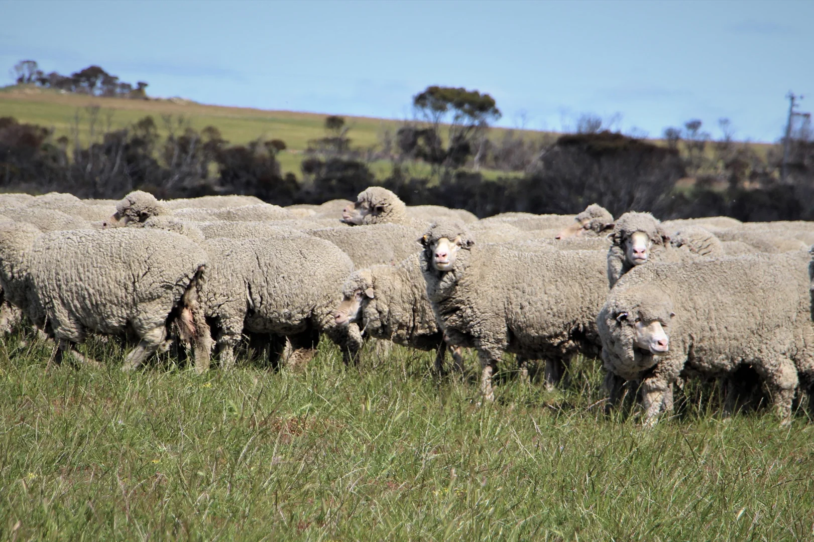 Additional image 20 of 31541 South Coast Highway, Jerramungup WA 6337