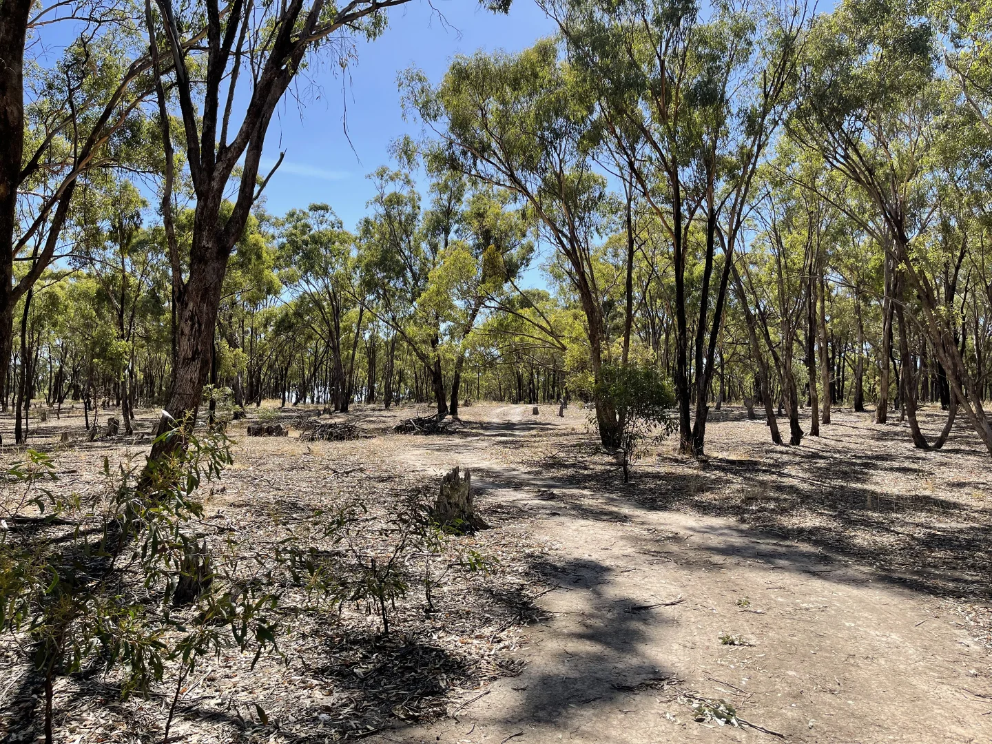 Additional image 9 of 0 Carapooee Road, St Arnaud East VIC 3477