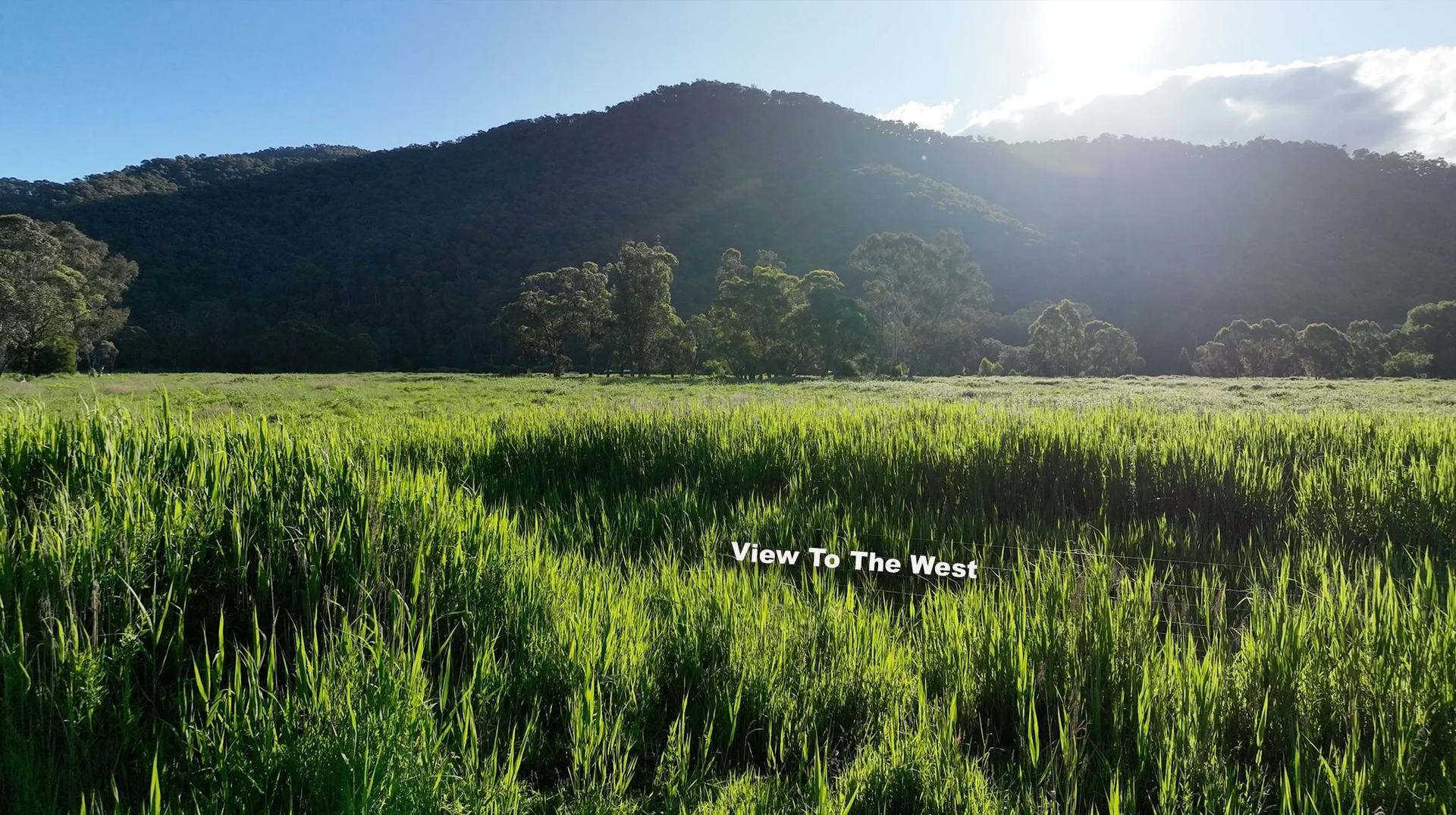 Additional image 11 of Smoko VIC 3741