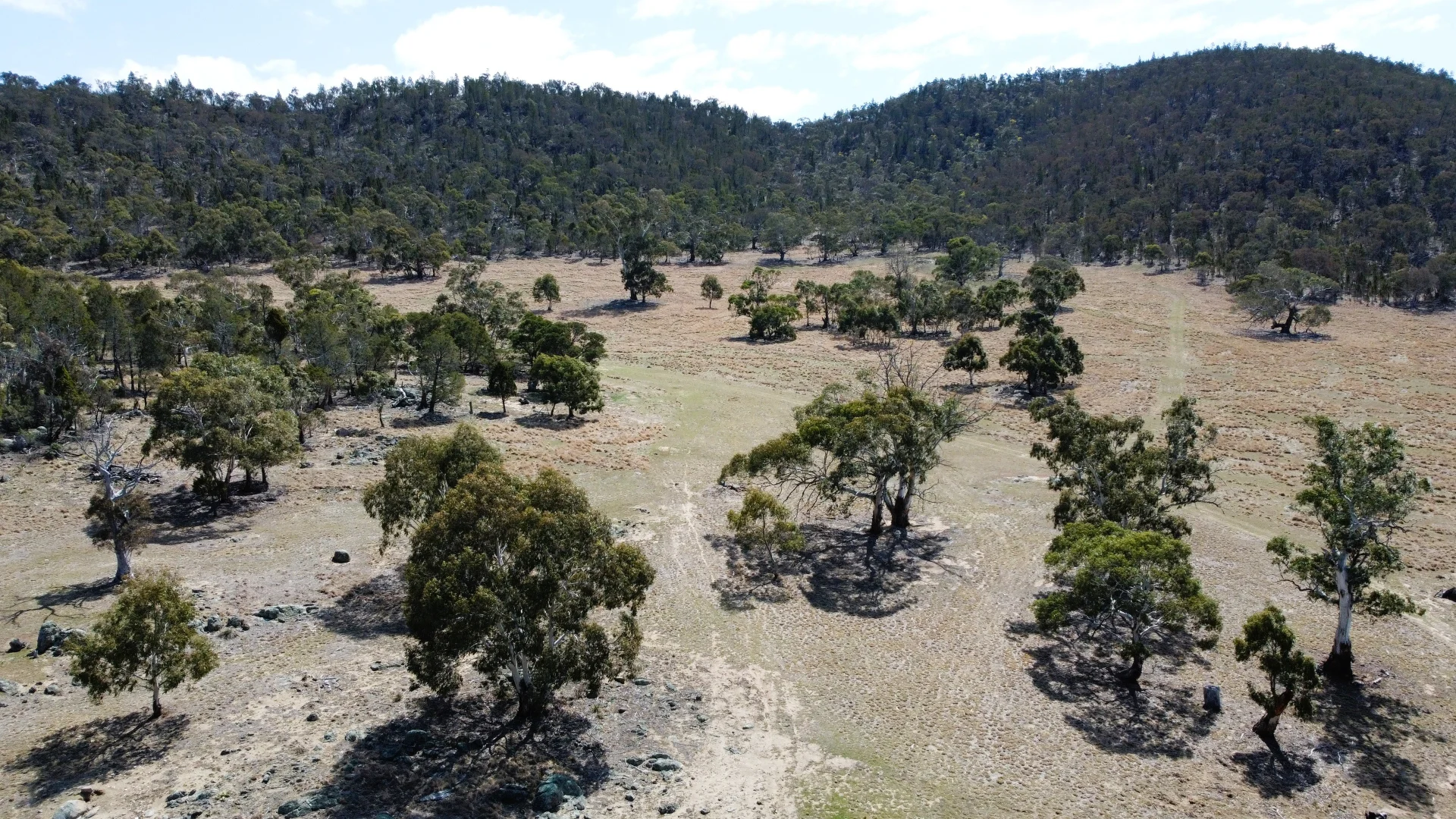 Additional image 25 of 49 Greystone Road, Binjura NSW 2630