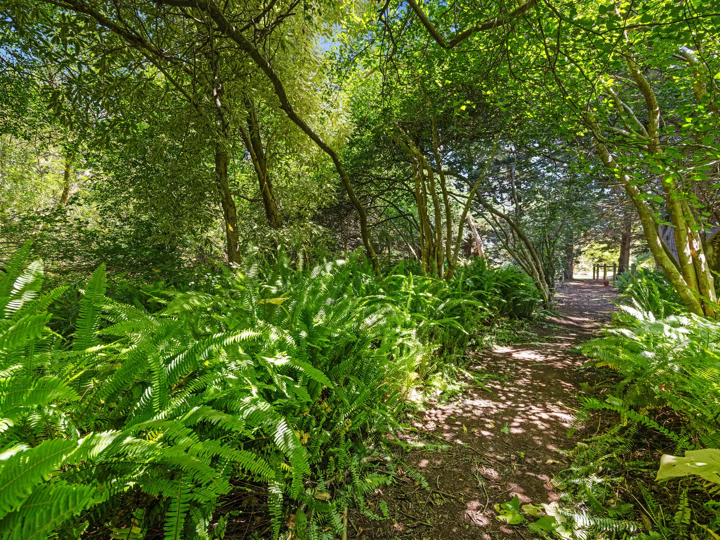 Additional image 26 of 48 Desmond Road, Wattle Bank VIC 3995