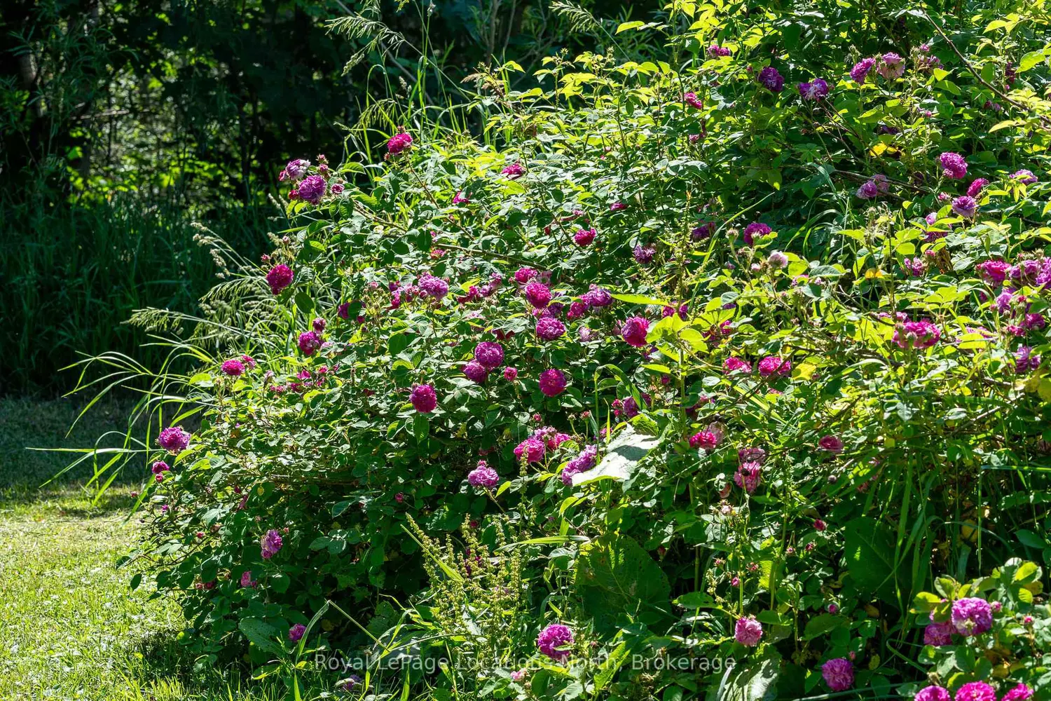 Additional image 4 of 138237 Grey Road 112