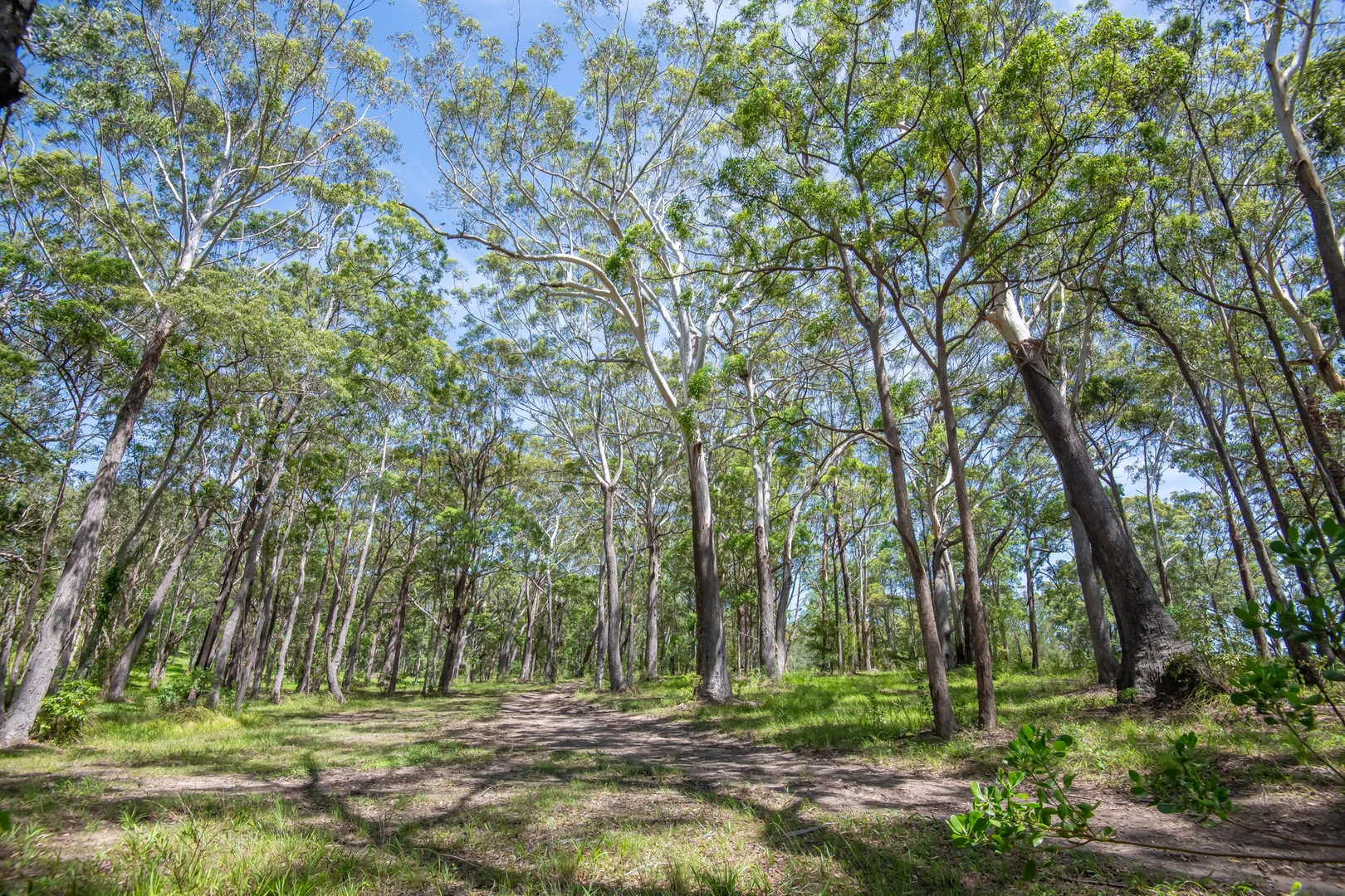 Additional image 24 of 31 Whitton Pl, Mullaway NSW 2456