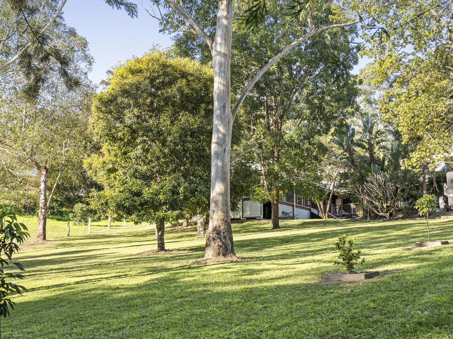 Additional image 19 of 50 Sunset Ridge Drive, Bellingen NSW 2454