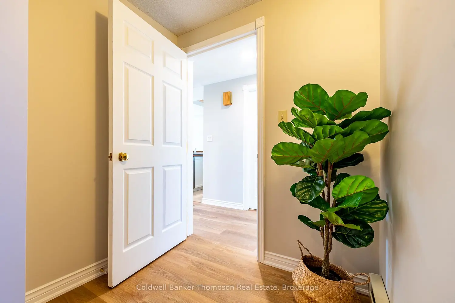 Additional image 20 of 3311 Grandview Forest Hil Drive