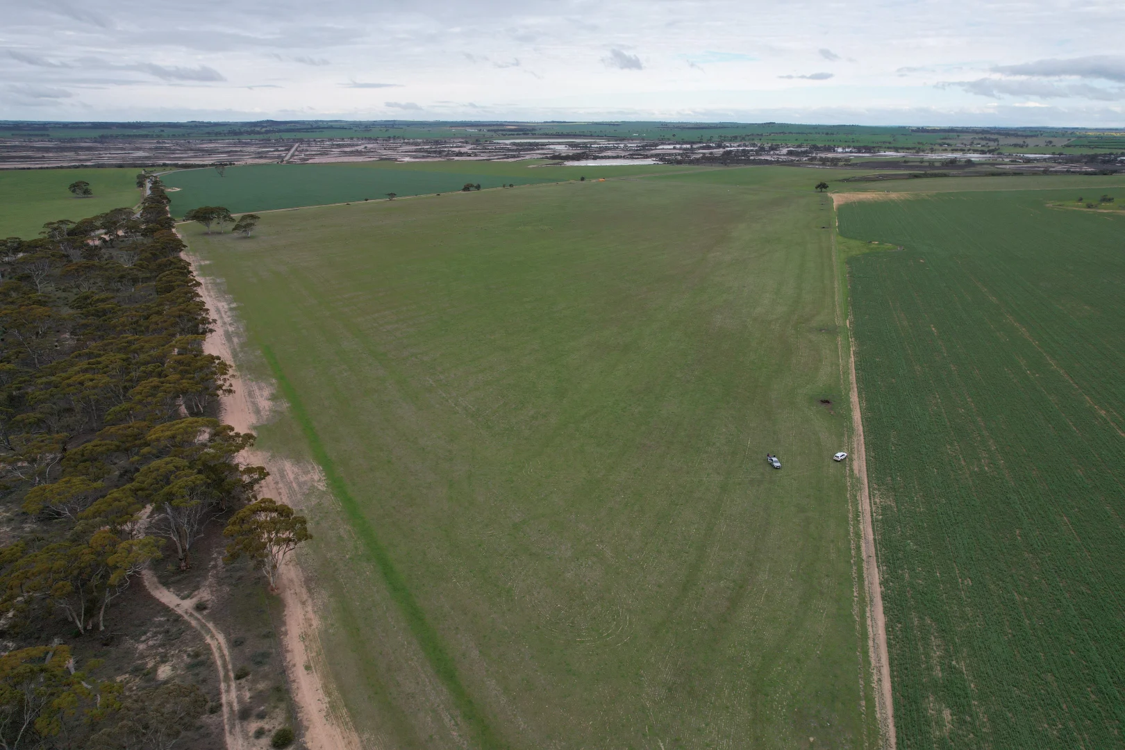 Additional image 5 of Quairading South Road, Dangin WA 6383