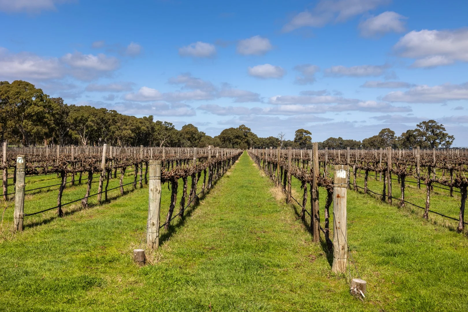 Additional image 26 of 148 McLean Road, Coonawarra SA 5263