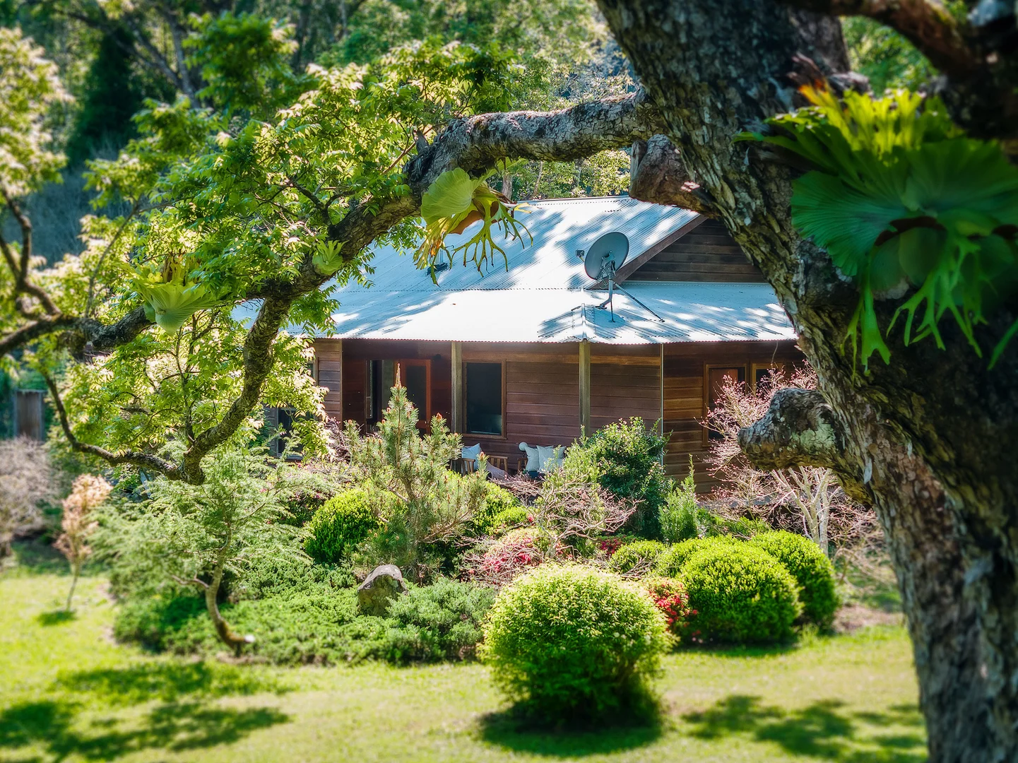 Additional image 40 of 1458 Darkwood Road, Bellingen NSW 2454