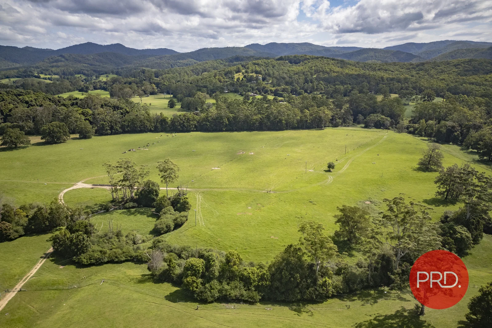 Additional image 23 of 441 Eastbank Road, Coramba NSW 2450