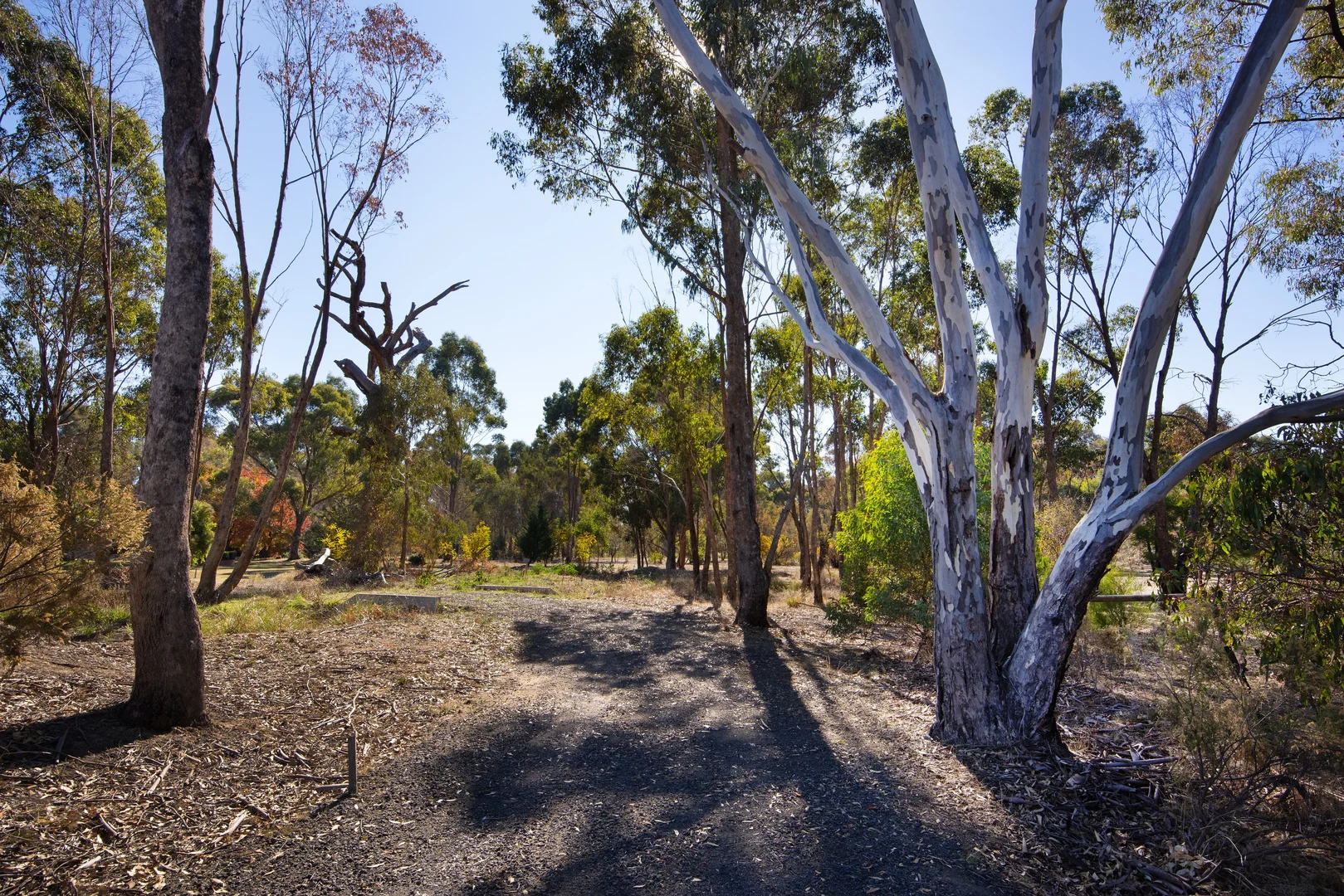 Additional image 3 of 13a Homebush Drive, Junortoun VIC 3551