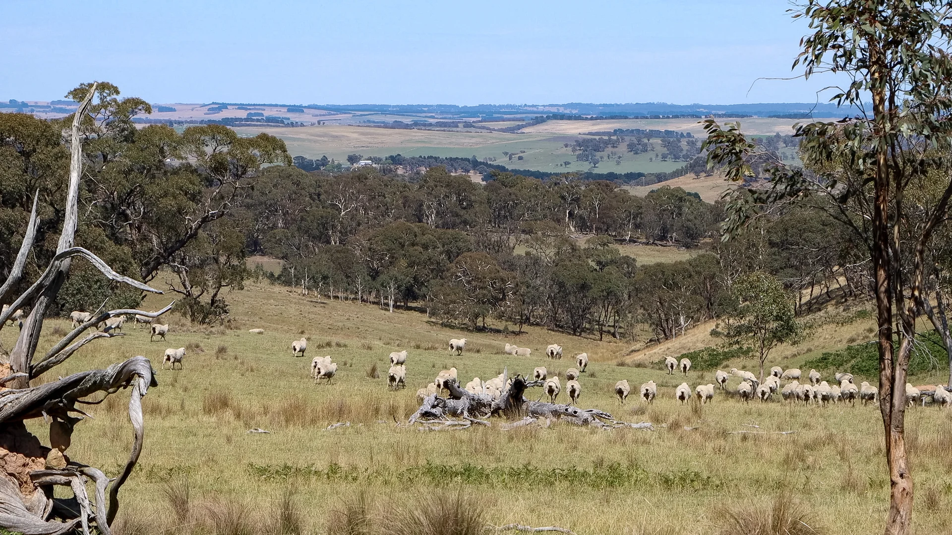 Additional image 9 of 1169 Golspie Road, Taralga NSW 2580