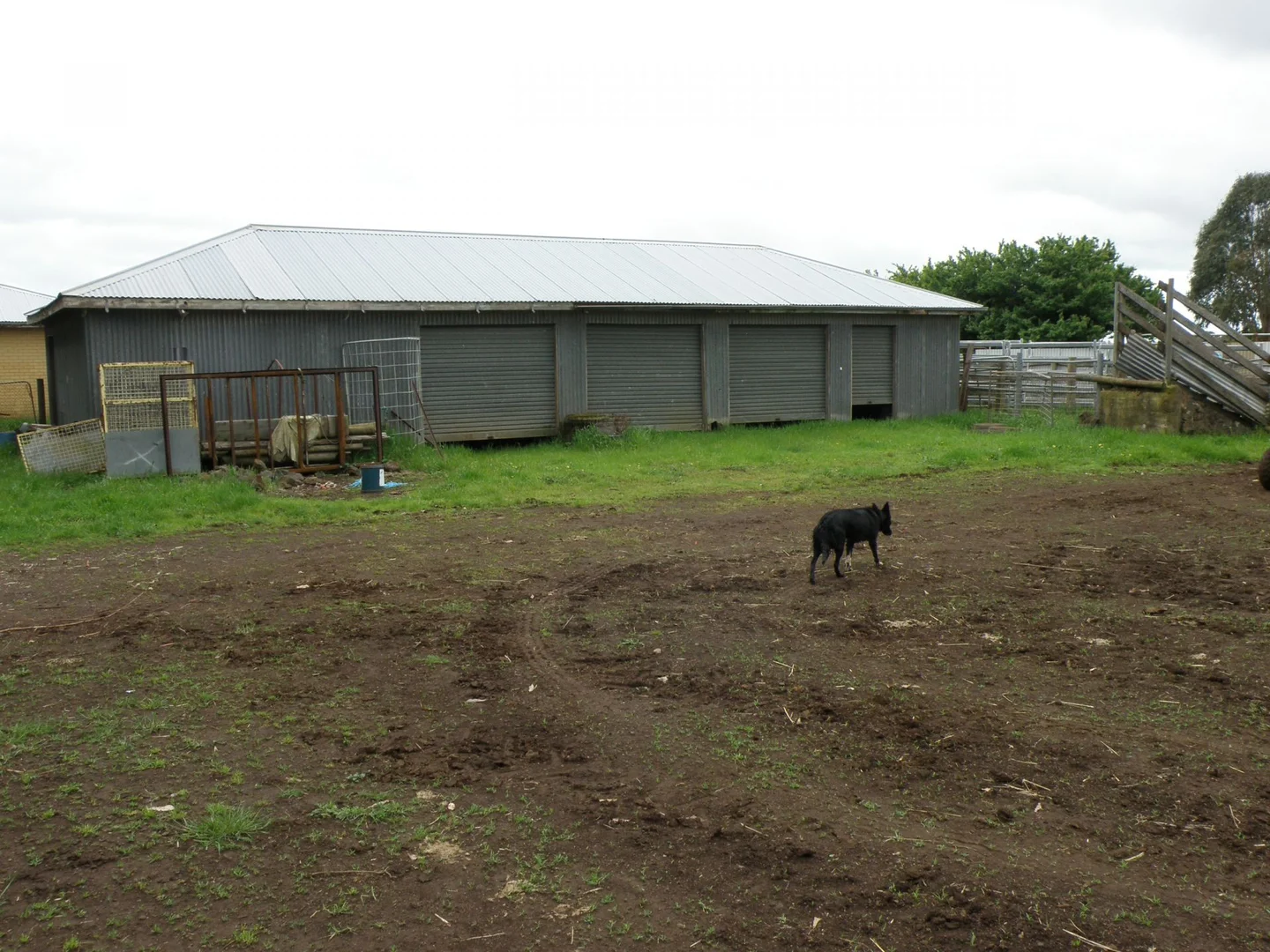 Additional image 5 of 220 Harlocks Road, Pomborneit North VIC 3260