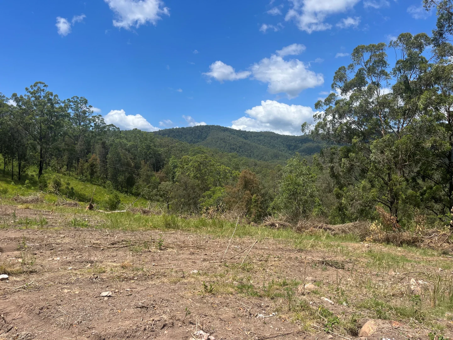 Additional image 9 of Nowendoc Road, Caffreys Flat NSW 2424