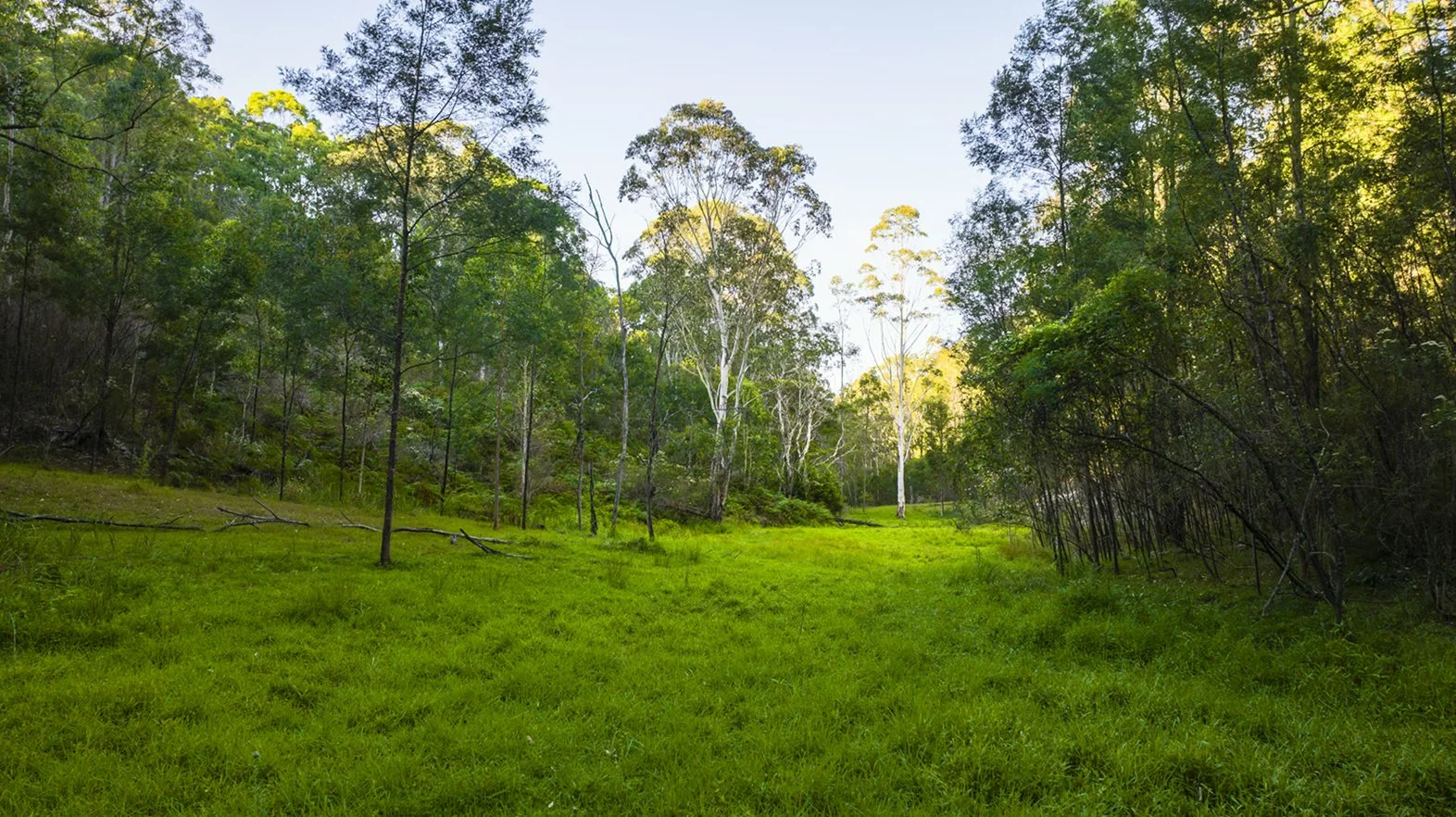 Additional image 25 of 56 Bakers Oven Lane, Laguna NSW 2325