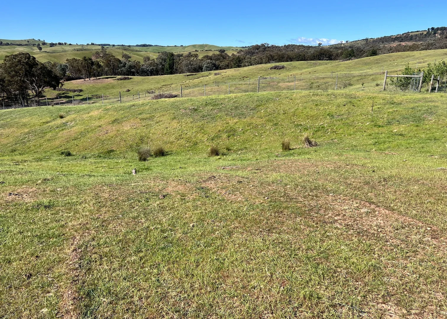 Additional image 15 of 613 Diffey Road, Everton VIC 3678