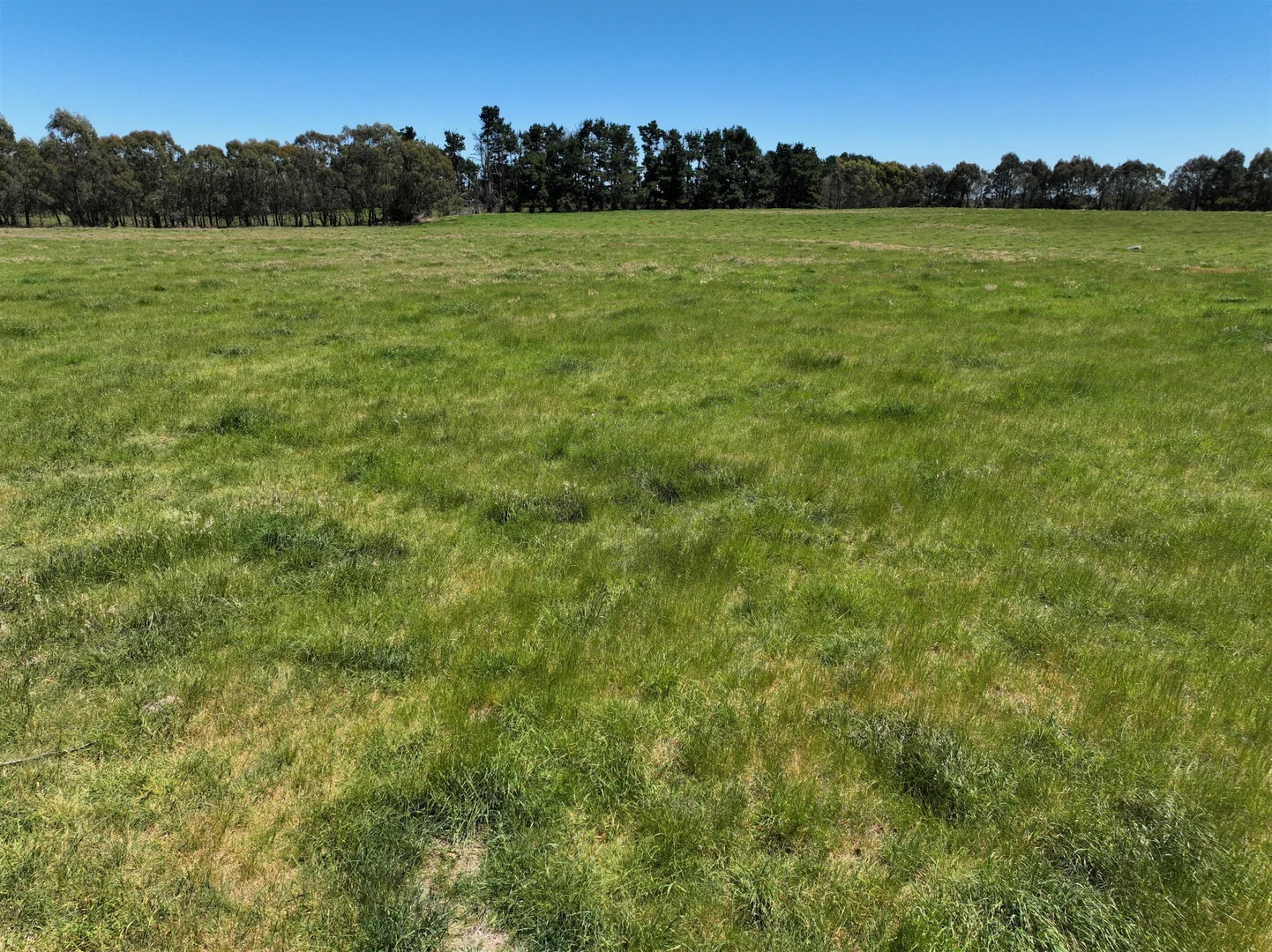 Additional image 7 of Lot 1 Mount Rae Road, Roslyn, Crookwell NSW 2583