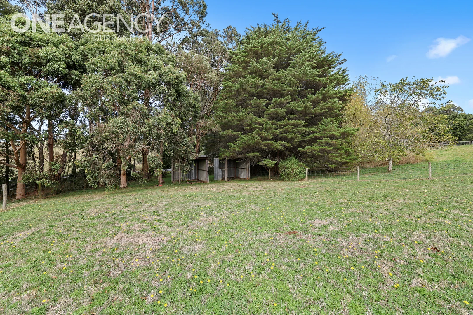 Additional image 31 of 255 Neerim North Road, Neerim North VIC 3832