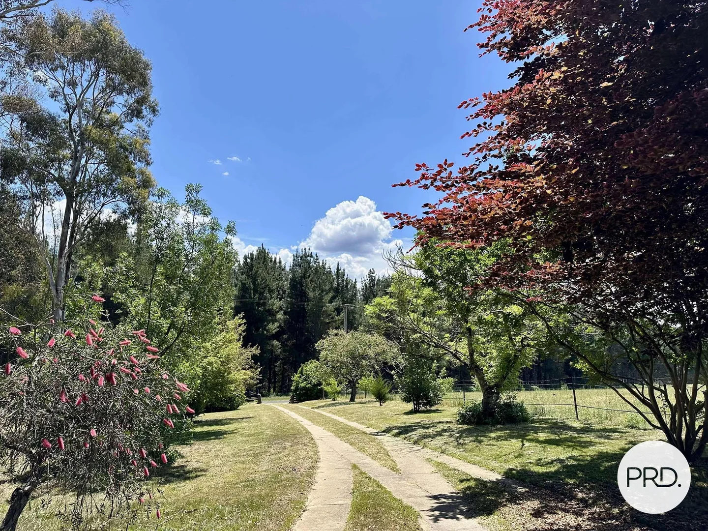 Additional image 38 of 233 Logans Road, Tumbarumba NSW 2653