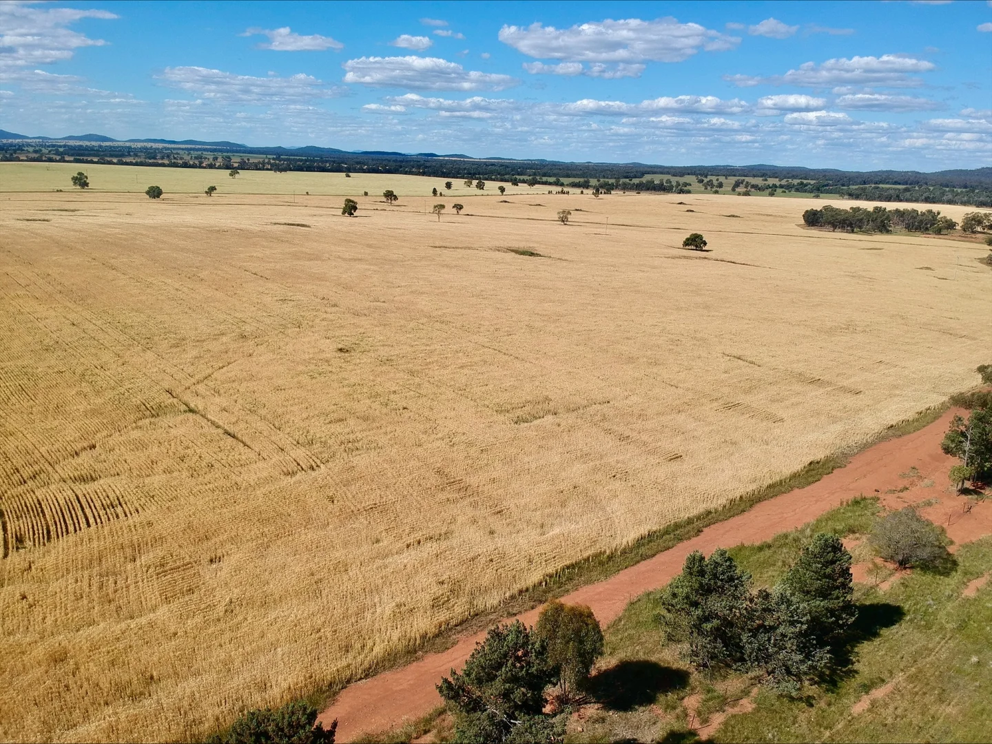 1032 Manna Forest Rd, Burcher NSW 2671 photo 2