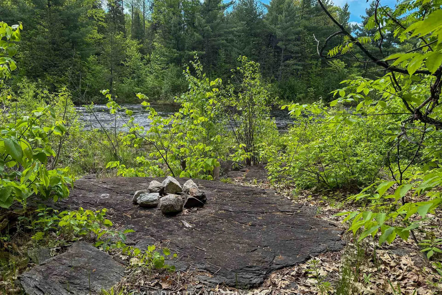 Additional image 9 of 12654 Lanark Road