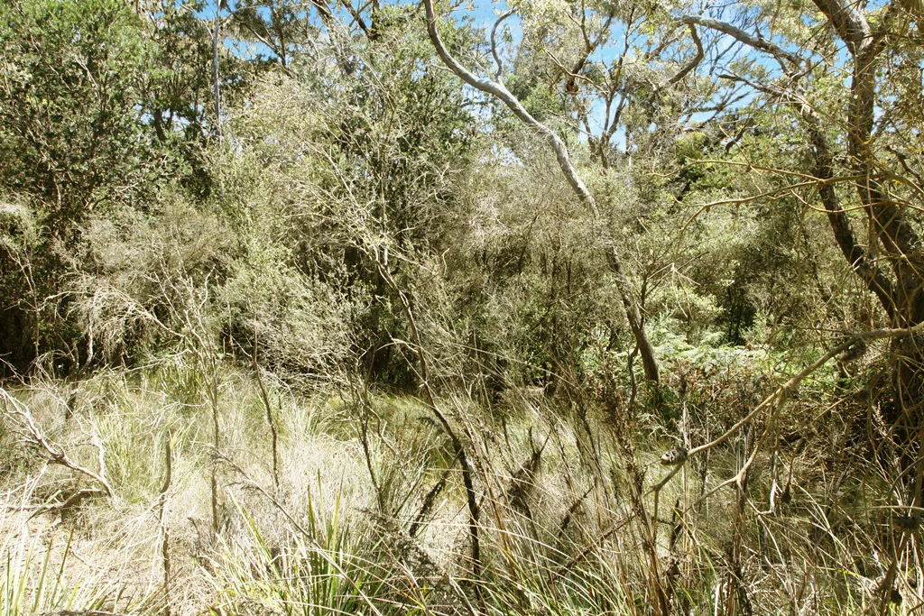 Additional image 2 of PID 7384430 North Ansons Road, Gladstone TAS 7264