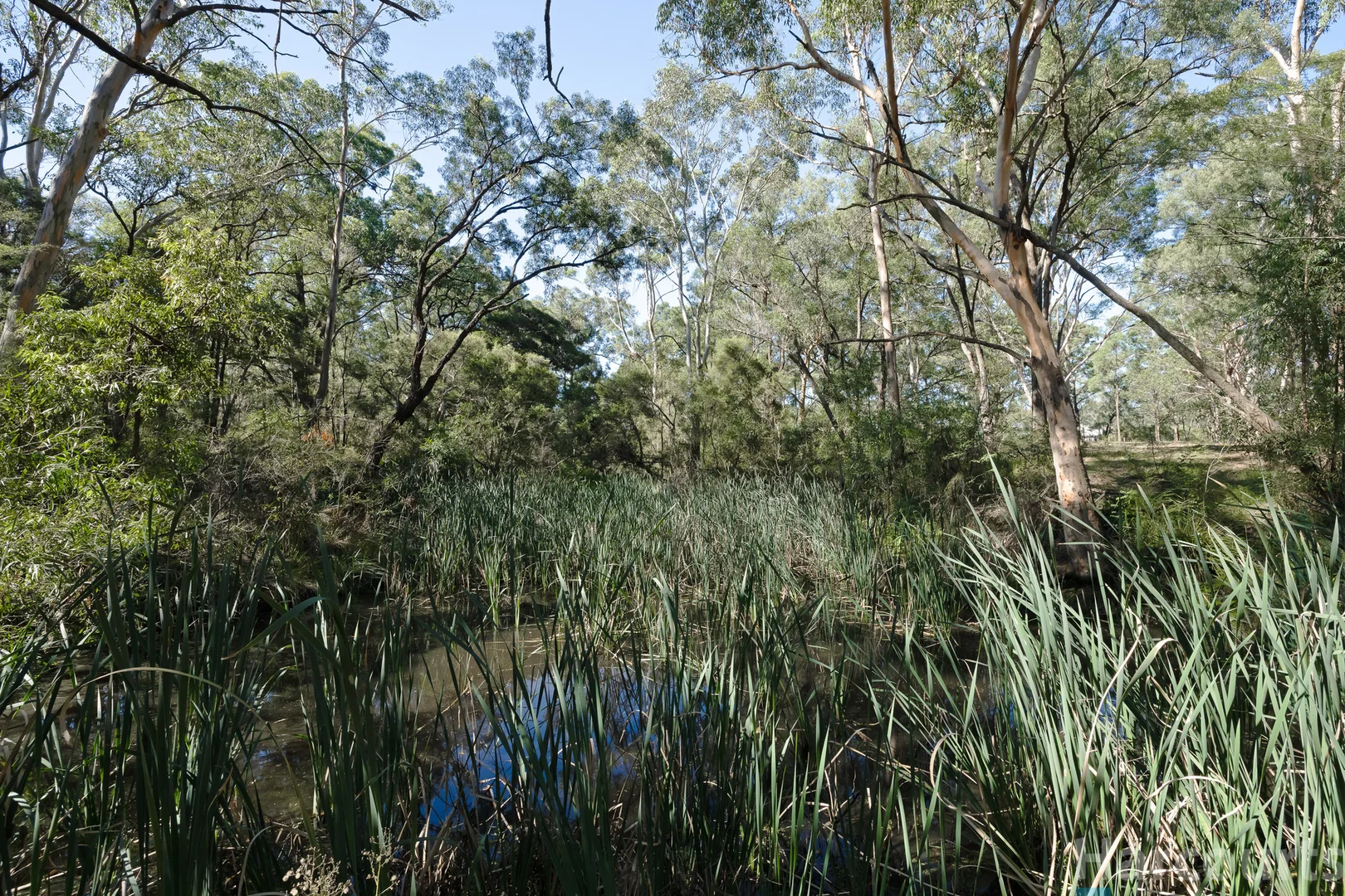 Additional image 6 of 75 Church Street, Abermain NSW 2326