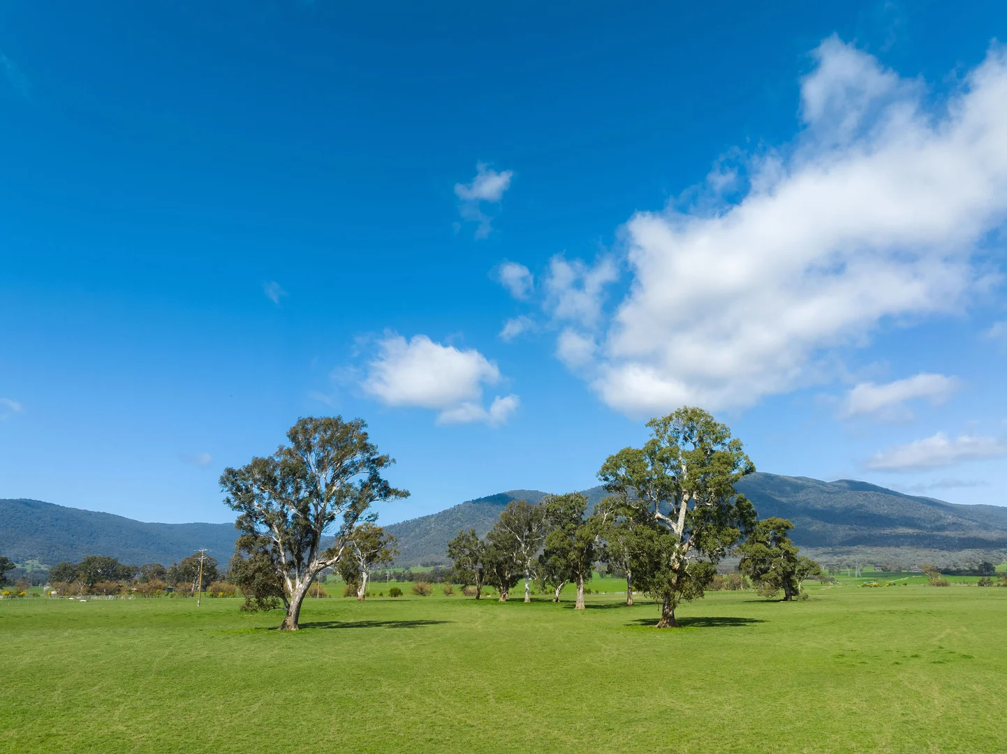 Additional image 12 of 1036 Taggerty - Thornton Road, Thornton VIC 3712