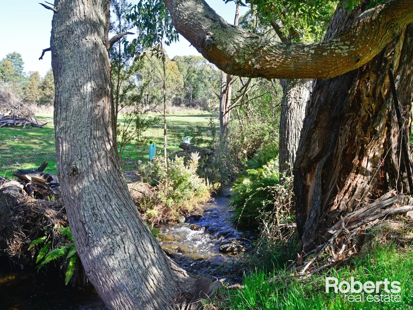 Additional image 23 of 111 Dillons Road, Ellendale TAS 7140