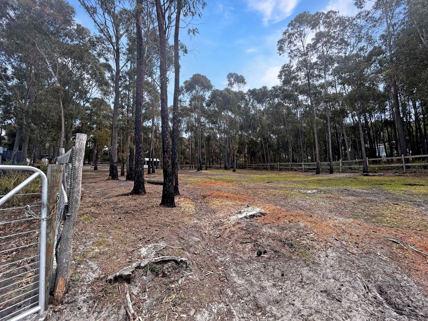 Additional image 19 of 80 McManus Drive, Falmouth TAS 7215