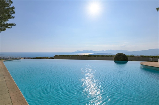 Cannes (Alpes-Maritimes)