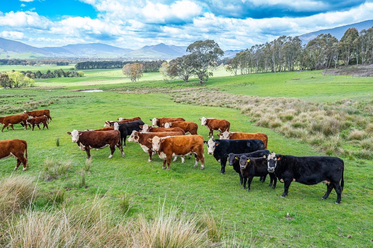Additional image 2 of 2 Hibbersons Road, Tallangatta South VIC 3701