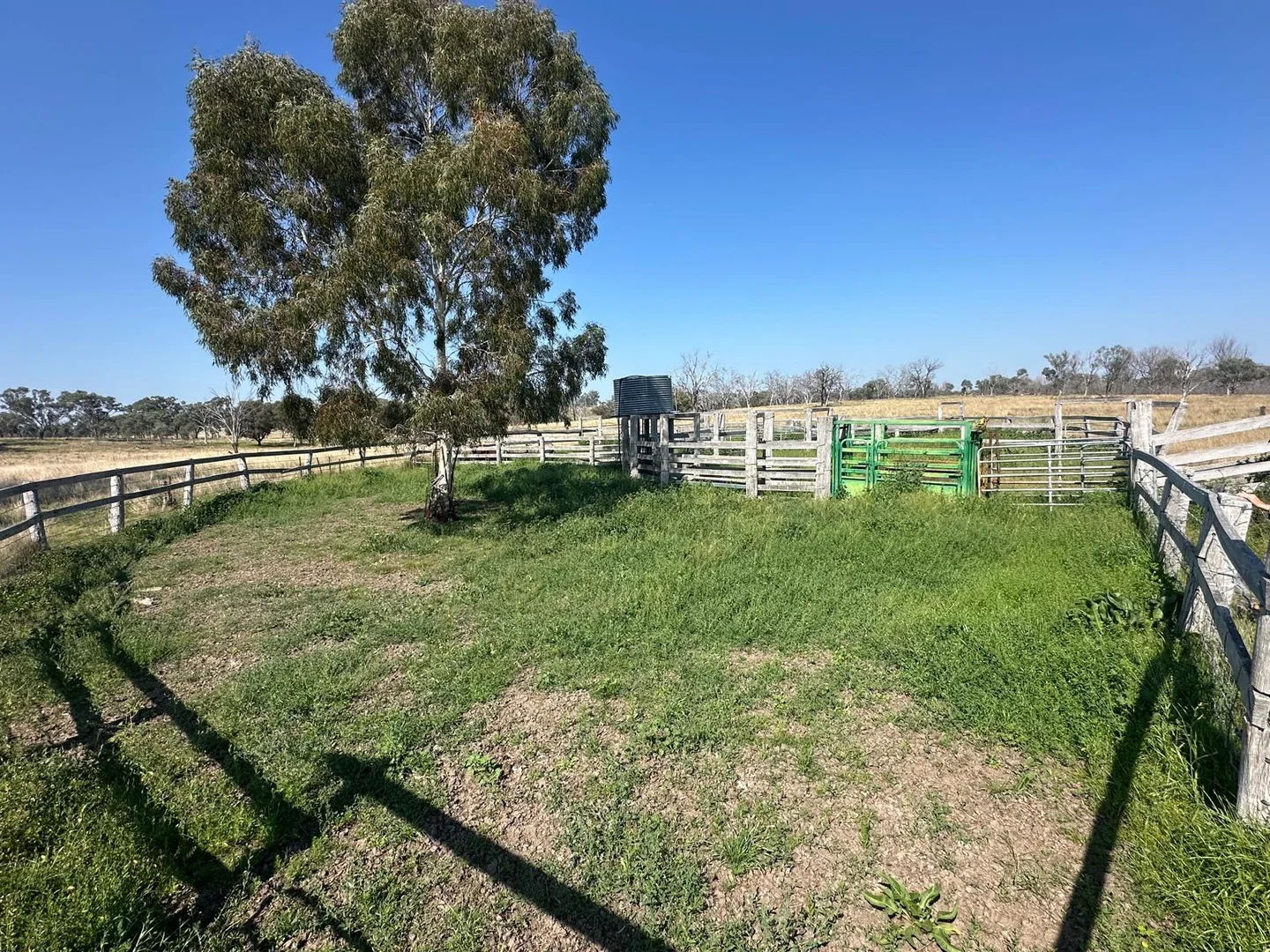 Additional image 14 of "Coolendoon" 810 The Pocket Road, Bukkulla NSW 2360