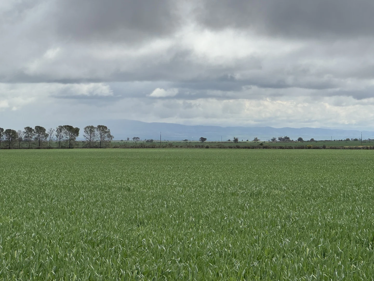 Additional image 8 of 434 Schmidt Road, Willowie SA 5431