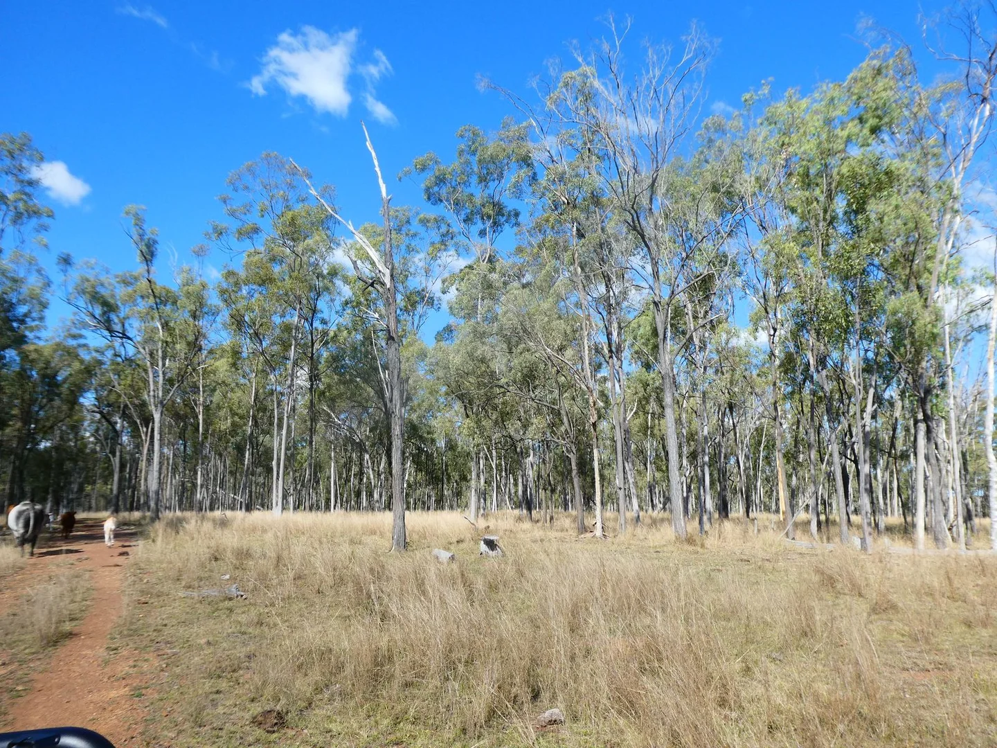 Additional image 20 of NRN BEERON ROAD, Beeron QLD 4626