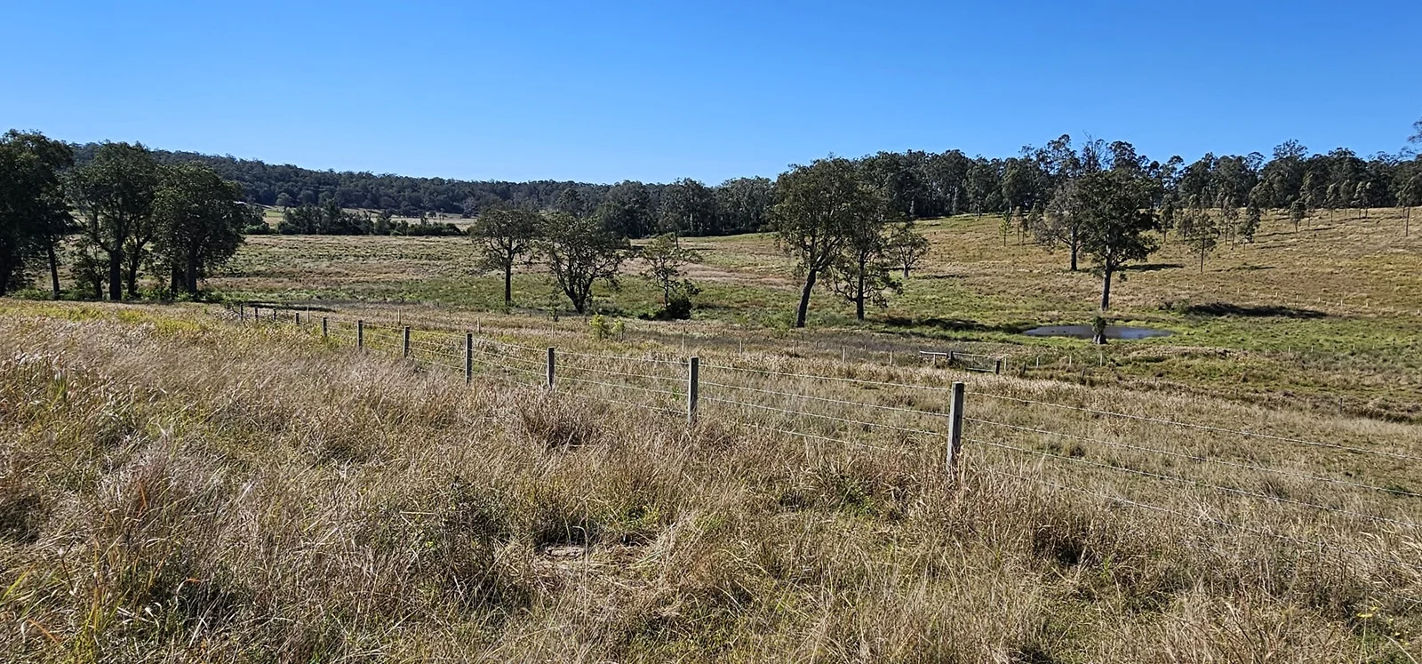 Additional image 8 of 981 Old Dyraaba Road, Lower Dyraaba NSW 2470