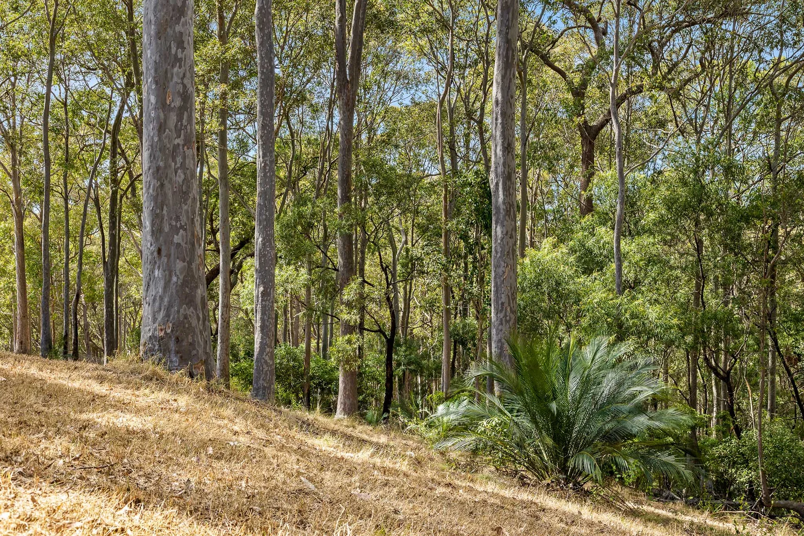 Additional image 11 of 50 Woodlands drive, Narooma NSW 2546