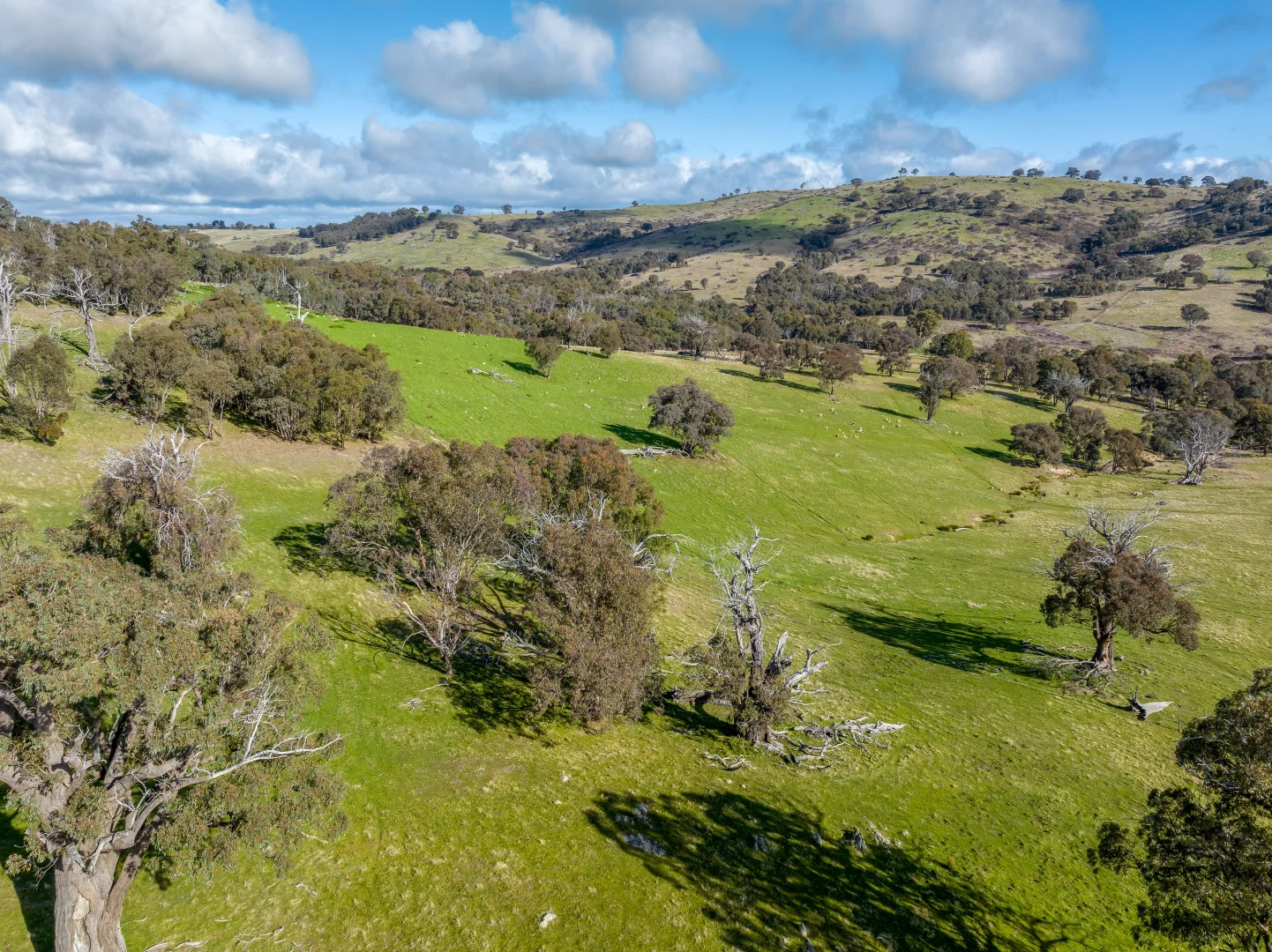 Additional image 3 of 2306 Bigga Road, Bigga NSW 2583