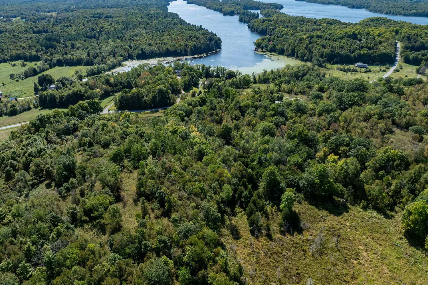 Additional image 9 of 406 Crozier Road