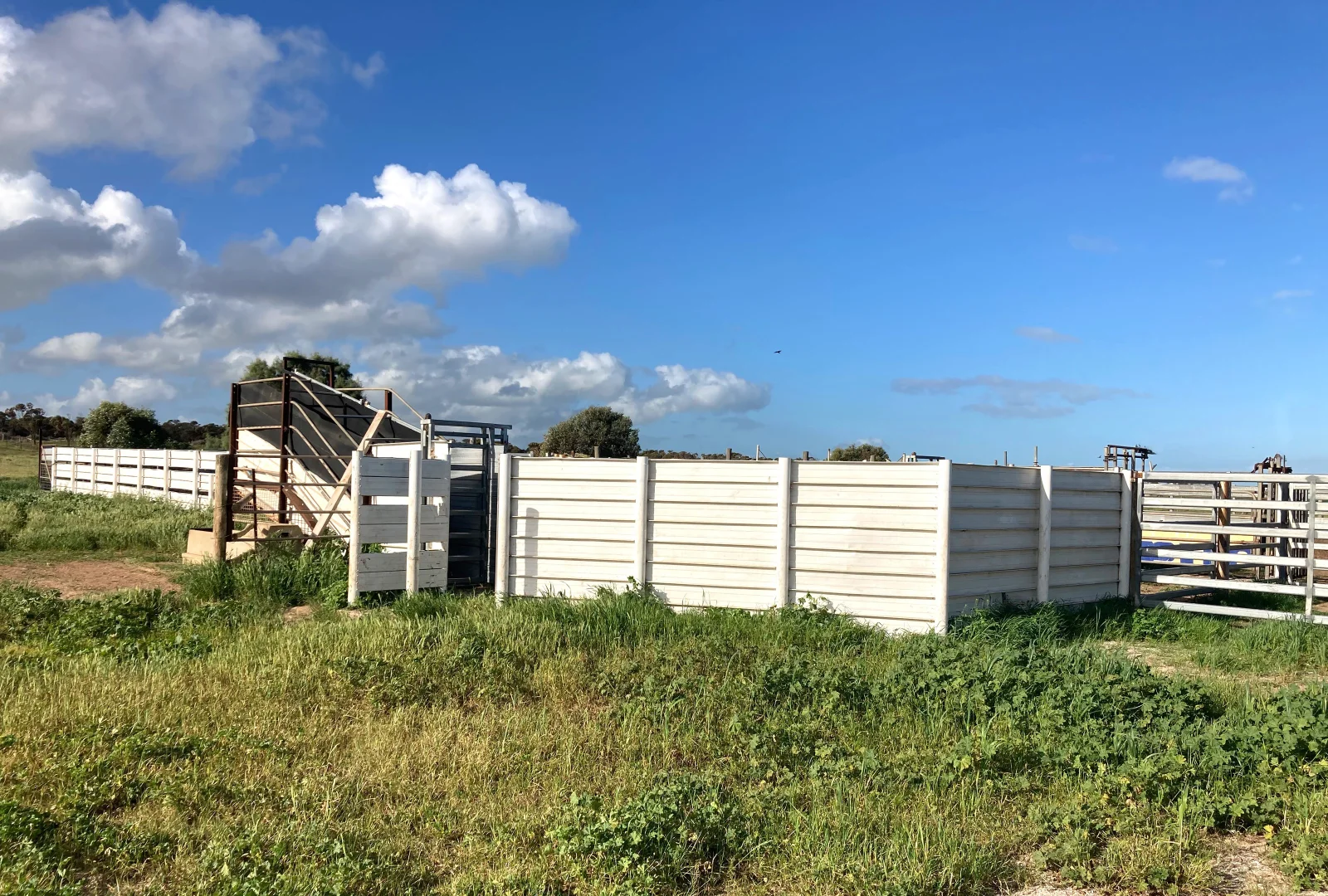 Additional image 6 of 46884 Eyre Highway, Ceduna SA 5690